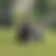 alex777777