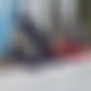 alex7777777
