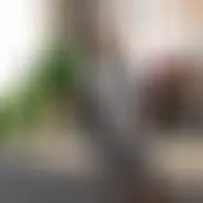 Alex94lacra22 couple from Austria