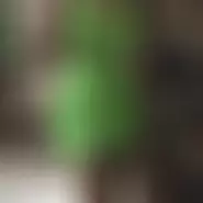 Alexa2026