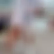 analex31