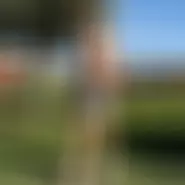 bbbc man from Brașov