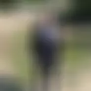 Bogdansiatat man from Bacău