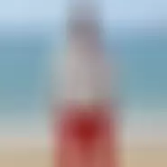 Def22 man from Tulcea