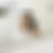 distractie99gratis man from Resita, Caraș-Severin