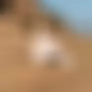 evelina femeie din Drobeta-turnu Severin, Mehedinți