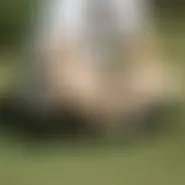 Fcd29
