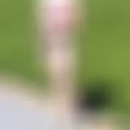 fluturas