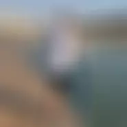 georgecir