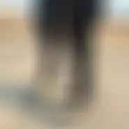 ioaVlad