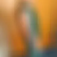 Ionelau couple from Resita, Caraș-Severin