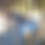 Ionut49Alexandra bărbat din Buzău