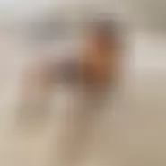 IonutRobert12 bărbat din Galați