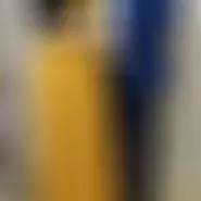 IulianaConstantin1
