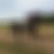 marioo88 man from Switzerland