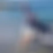 Masseur1