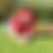 mrsioly