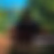 murariualex17 bărbat din Iași