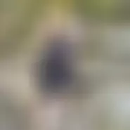 neculai1 cuplu din Botoșani