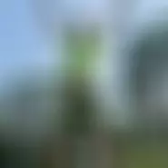 Raresrares bărbat din Floresti, Cluj