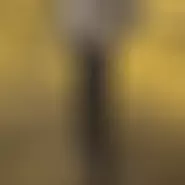 Stelan couple from Romania