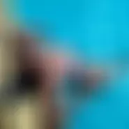 TryNew