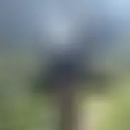 Valii89