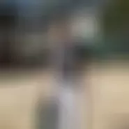 Vycanis2