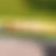 MMP